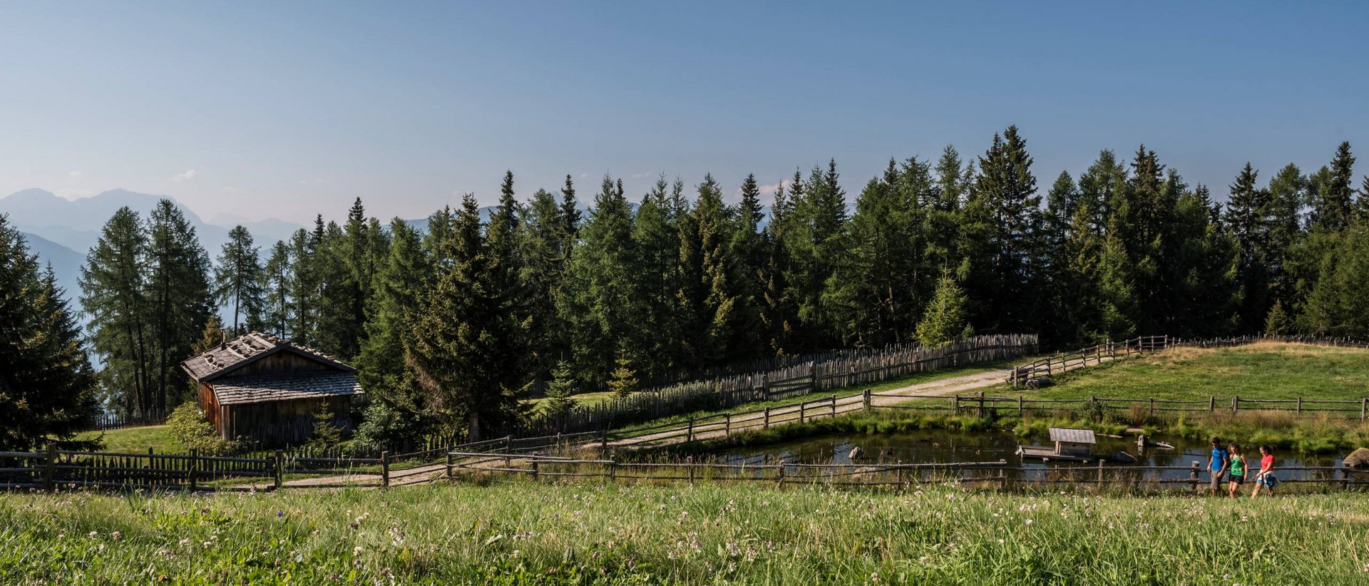 Besondere Events am Kronplatz erleben Wiese mit einem Teich, Holzhütte und Wanderern vor Nadelwald und Bergen