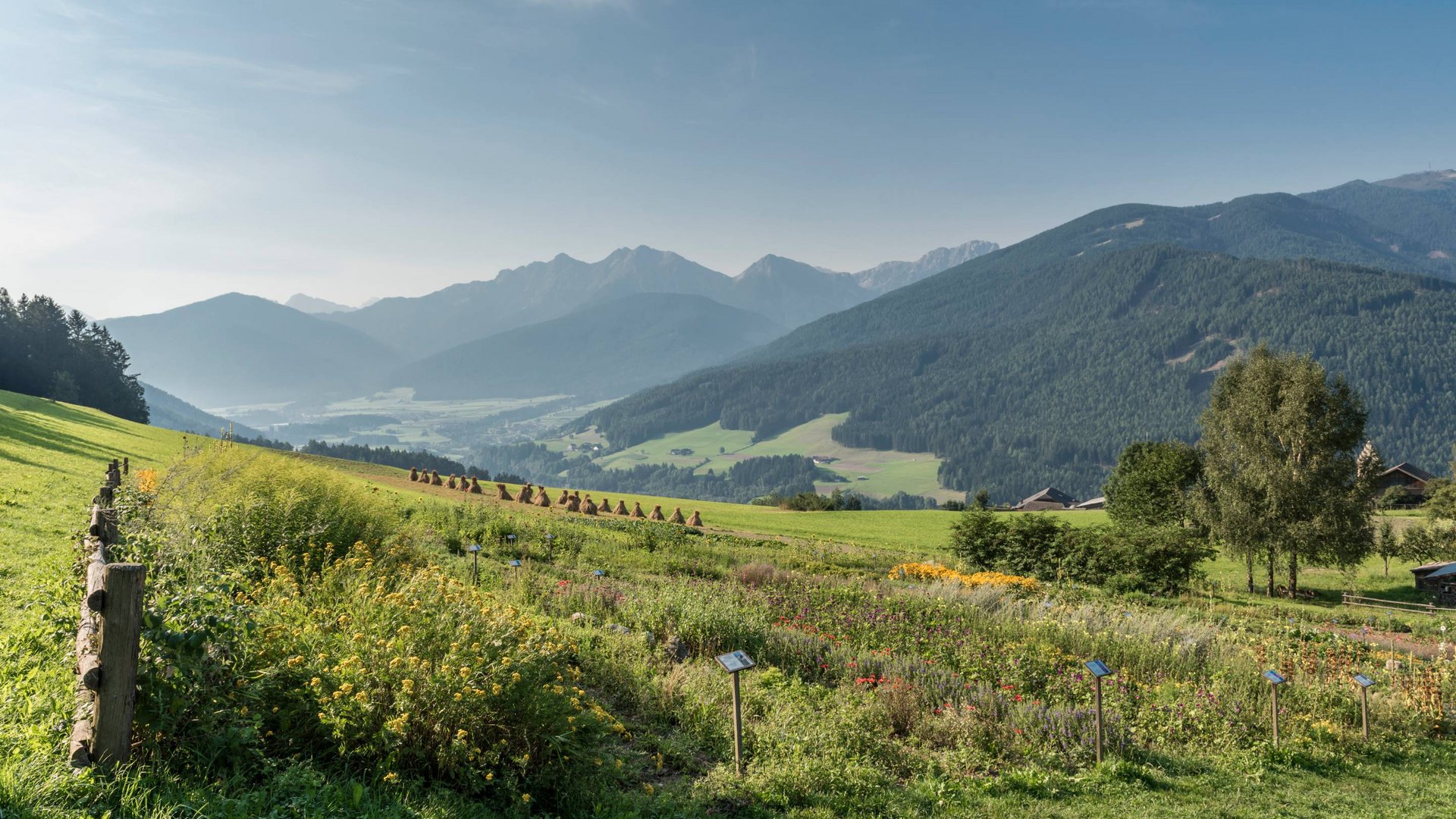 Willkommen in Olang: Hotel Christoph Blumenwiese und Bergblick in den Alpen an einem sonnigen Tag
