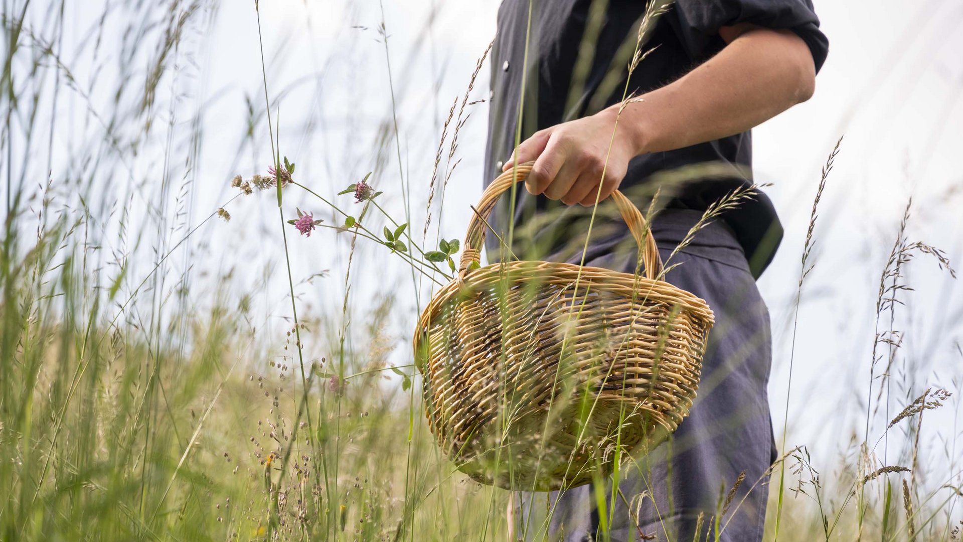 Sustainable 4-star hotel in the Dolomites Person holding a basket in a field of tall grass and flowers