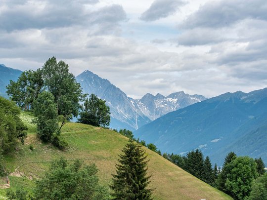 Your Plan de Corones/Kronplatz hotel on the slopes Green hills with trees in front of forested mountains under cloudy sky